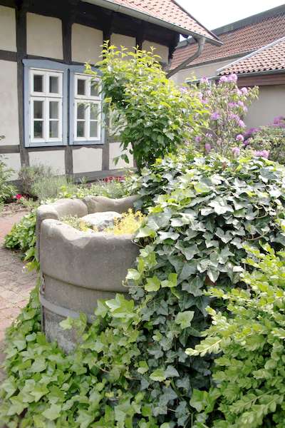alter Brunnen vor dem Schuleingang alter Brunnen vor dem Schuleingang