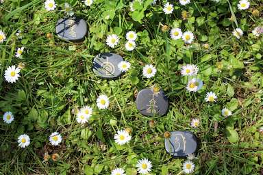 Reikiausbildung bei der Lebensblüte Reiki lernen: Reikiausbildung / Reikieinweihung